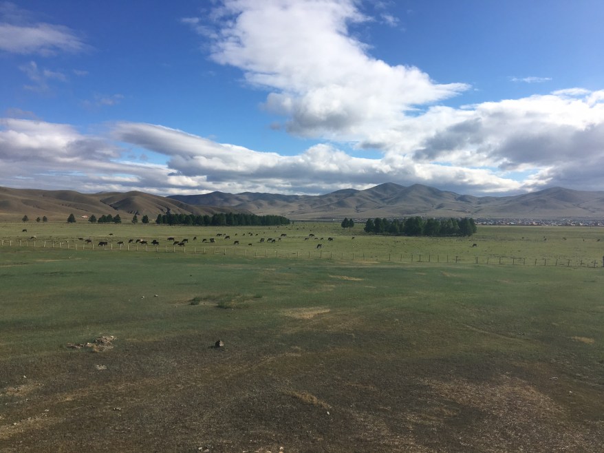 0606 Mongolia x1
